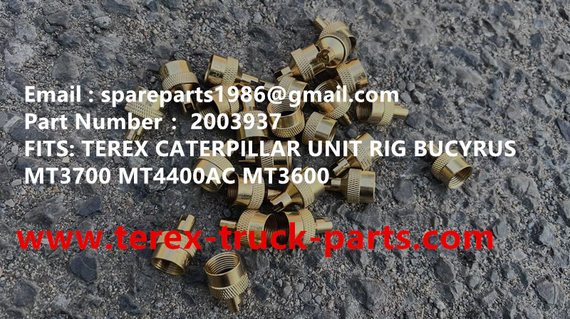 TEREX GE WHEEL MOTOR KOMATSU MT4400AC UNIT RIG BUCYRUS CATERPILLAR NHL MT4400AC MT3600 MT3700 NTE240 NTE260 BELAZ XCMG XDE240 XDE260 75306 75131 KOMATSU 830E GE GENERAL ELECTRIC 930E WHEEL MOTOR ASSY 2003937 VALVE CAP