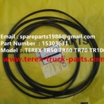 TEREX  RIGID DUMP TRUCK TR60 TR100 SRT95 15303631 SEAL SET A