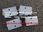 特雷克斯 TR100 TR50 TR60 TR35 3305 3307 自卸车 空调 20011450 膨胀阀