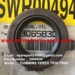 TEREX NHL TR60 RIGID DUMP TRUCK 3065830 OIL SEAL TR60