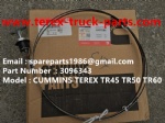 TEREX NHL CUMMINS ENGINE RIGID DUMP TRUCK TR50 TR60 3096343 DIPSTICK BLANK