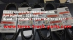 TEREX HAULER MINING RIGID DUMP TRUCK CUMMINS ENGINE TR45 TR50 TR60 3289448 BELT