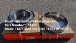 TEREX HAULER MINING RIGID DUMP TRUCK WHEEL MOTOR DRIVE HAULER MT3600 MT4400AC NTE240 NTE260 KOMATSU 830 730 930 GE BEARING 19422