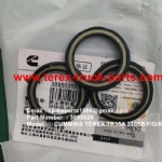 TEREX NHL MINING OFF HIGHWAY RIGID DUMP TRUCK CUMMINS ENGINE 3305B 3305F 3305G 3305K TR35 3895020 DUST SEAL