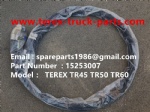 TEREX OFF HIGHWAY MINING RIGID DUMP TRUCK HAULER NHL TR45 TR50 TR60 15253007 HOSE