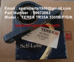 TEREX 3305F Bearing 9073063