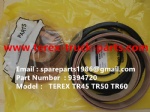 TEREX SANY TR50 TR60 SRT45 SRT55 MINING DUMP TRUCK 09394720  REPAIR KITS